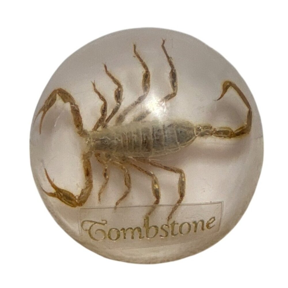 Vintage  Scorpion Paperweight Tombstone Dome Resin Bug Display Red Felt Base
